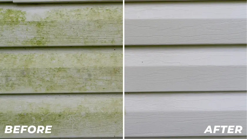 Before and after car cleaning